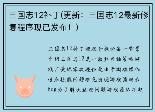 三国志12补丁(更新：三国志12最新修复程序现已发布！)